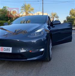 تسلا موديل Y